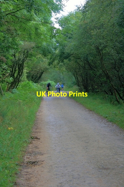 Photo 6"x4" Lang Gate Hackness\/SE9790 c2012