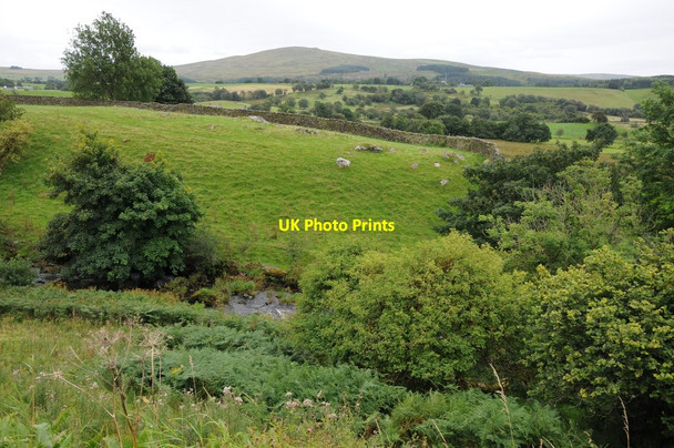 Photo 6"x4" Above the Merddwr valley Pentrefoelas c2012