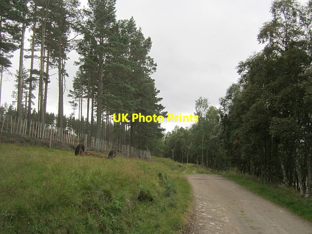 Photo 6"x4" Road in Glen Feardar Thistledae c2012