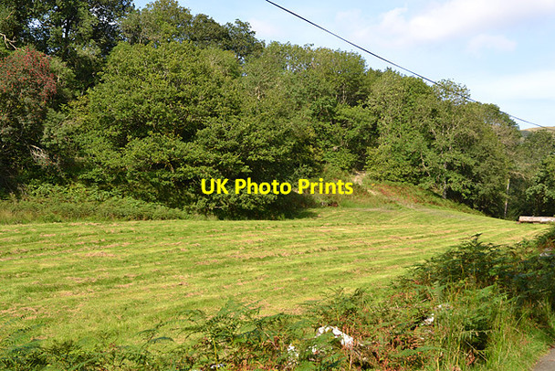 Photo 6"x4" Mown field Pandy\/SH9004 c2012