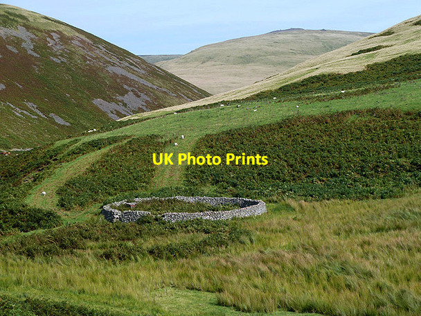 Photo 6"x4" A sheepfold by Cheviot Burn Sourhope c2012