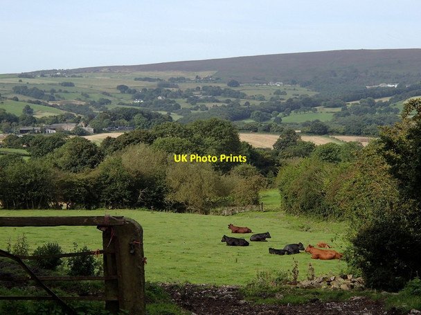 Photo 6"x4" Views across countryside south of Totley Mickley\/SK3279 c2012