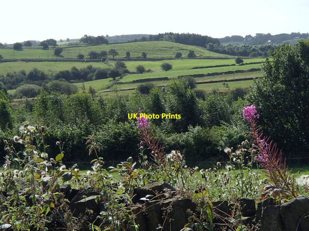 Photo 6"x4" Fields south of Moss Road Owler Bar c2012