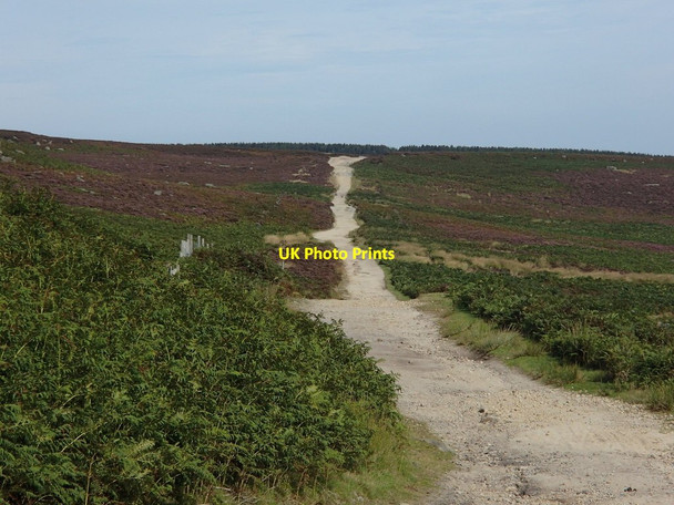 Photo 6"x4" Houndkirk Road, looking northeast Ringinglow c2012
