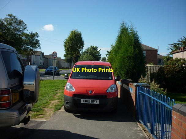 Photo 6"x4" The post must get delivered Airedale\/SE4525 c2012