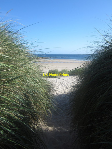 Photo 6"x4" A gap in the dunes Bamburgh c2012