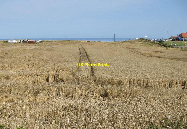 Photo 6"x4" Clifftop crop Cayton\/TA0583 c2012