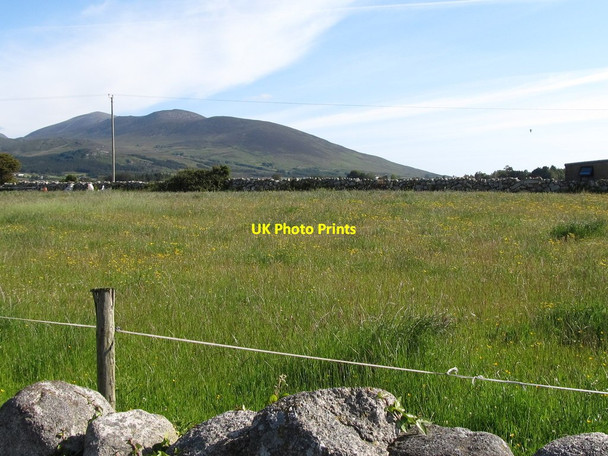 Photo 6"x4" Traditional hay meadow on the corner of Oldtown Road and Majors Hill Annalong c2011