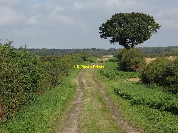 Photo 6"x4" Track north of Shortwood Farm Ompton c2012