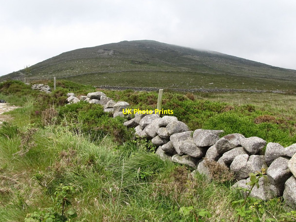 Photo 6"x4" The southern facing slope of Moolieve from the track leading down to the Head Road Attical c2011