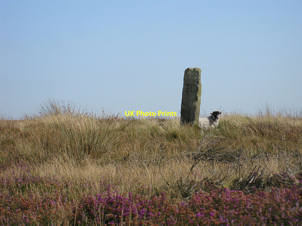 Photo 6"x4" Just checking Lowna c2012
