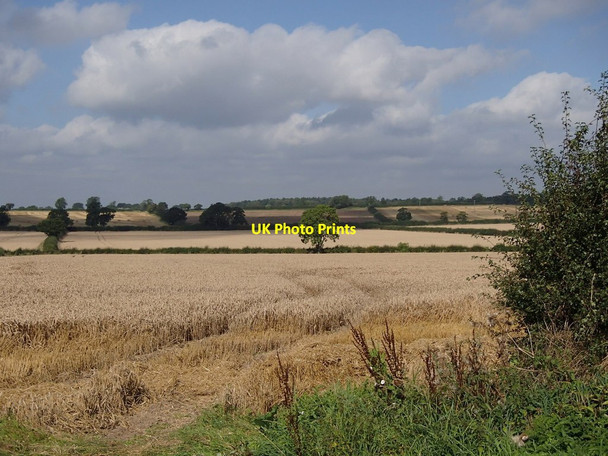 Photo 6"x4" Arable fields in September Ompton c2012