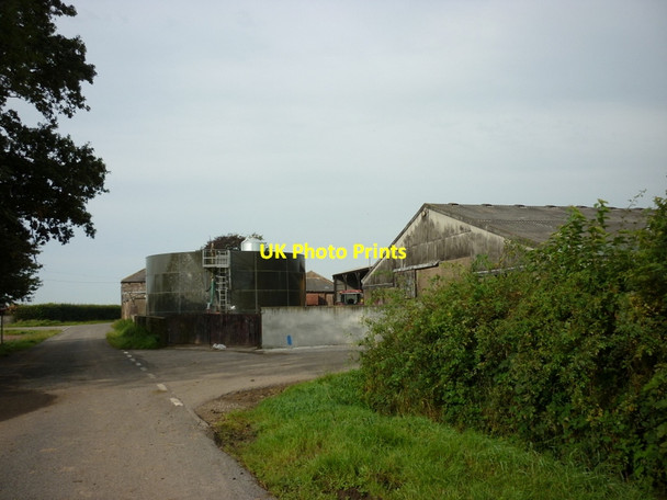 Photo 6"x4" Beech Tree Farm Salt Coates c2012