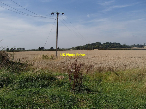Photo 6"x4" Fields towards Cocked Hat Plantation Kersall c2012