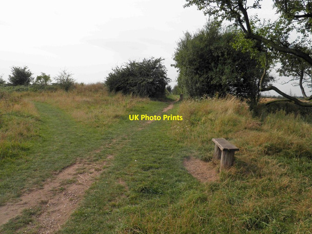 Photo 6"x4" Bench alongside the bridleway known as Hatfield Lane Dunsville c2012