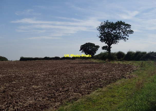 Photo 6"x4" Field footpath Caunton c2012
