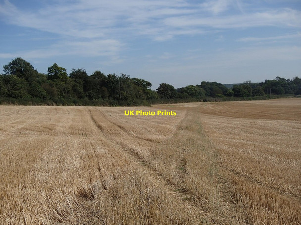 Photo 6"x4" Footpath towards the A616 and Caunton Caunton c2012
