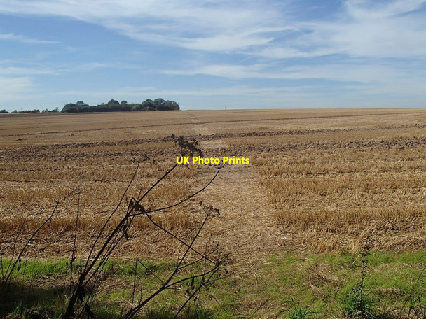 Photo 6"x4" Path near Brecks Farm Kersall c2012