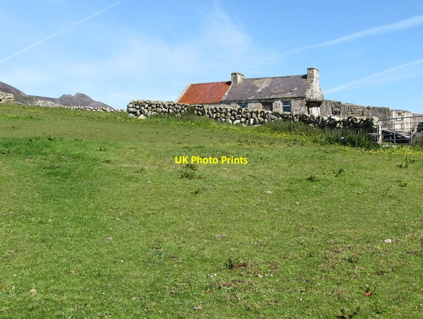 Photo 6"x4" Pasturage and a traditional marginal land cottage Annalong c2011