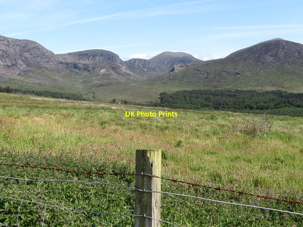Photo 6"x4" View across rough pasture towards Annalong Wood Annalong c2011