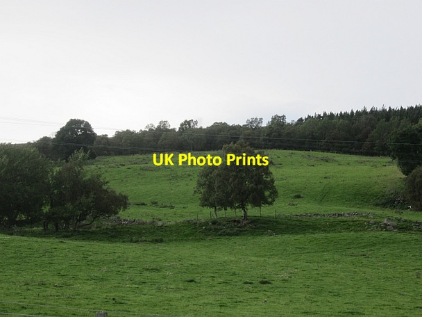 Photo 6"x4" Tynabaich fields Crathie\/NO2694 c2012