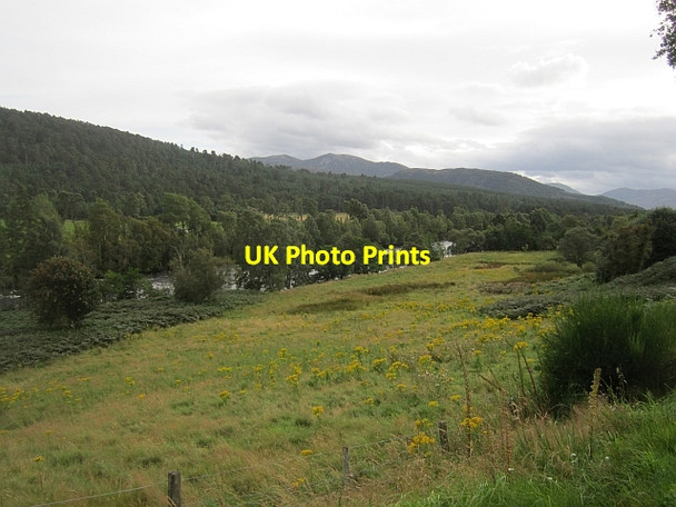 Photo 6"x4" Riverside pasture, Inver Inver\/NO2393 c2012