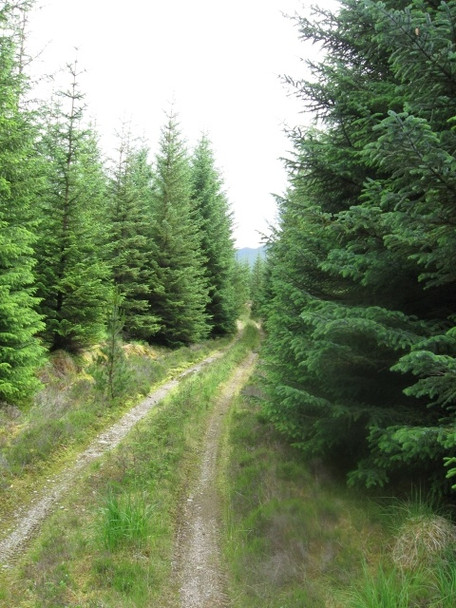 Photo 6"x4" Forestry track Sliabh Loraich south of Loch Laggan\/Laggan Dam hydro scheme Fersit c2008