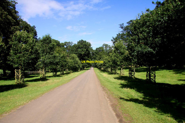Photo 6"x4" The Avenue to Althorp House Nobottle c2012