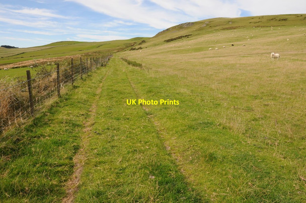 Photo 6"x4" Grazing land on Gelli Hill Camnant\/SO0956 c2012