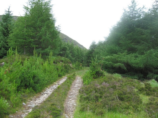 Photo 6"x4" Forestry track south of Loch Laggan: Creag Dubh on skyline to left Fersit c2008