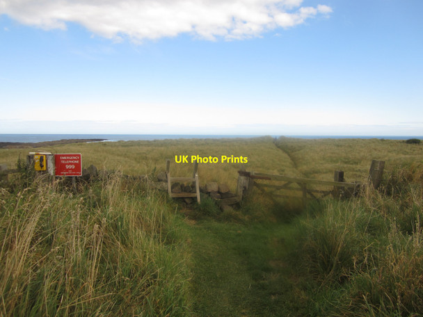 Photo 6"x4" Footpath across the dunes High Newton-by-the-Sea c2012