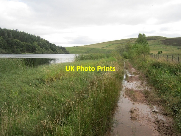 Photo 6"x4" Path beside Cauldshiels Loch Faldonside c2012