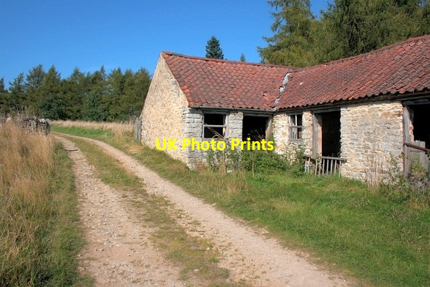 Photo 6"x4" Farm Buildings at Rea Garth Farm Pockley c2012
