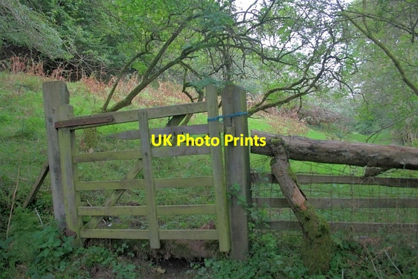 Photo 6"x4" Gate in Wether Cote Plantation Fadmoor c2012