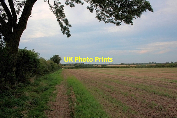 Photo 6"x4" Footpath along a Field near Pockley Harome c2012