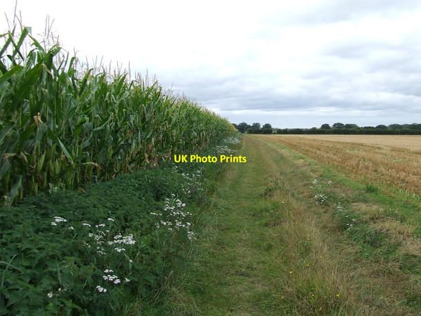 Photo 6"x4" Track Next To Maize Hunt's Corner c2012