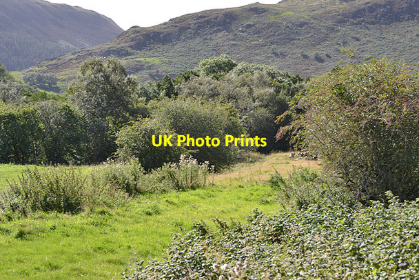 Photo 6"x4" Trackbed of the Mid Wales Railway Nantserth c2012