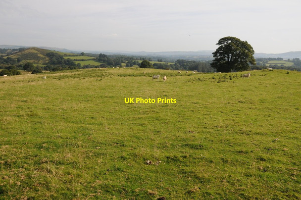 Photo 6"x4" Farmland near Pentre-Llwyn-Llwyd Pentre-llwyn-llwyd c2012