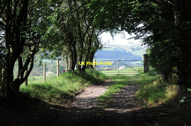 Photo 6"x4" Field entrance and gate Llanafan-fawr c2012