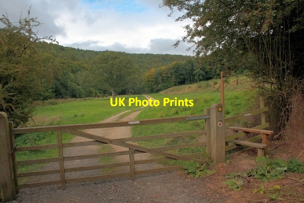 Photo 6"x4" Gate on Track up Kirkdale Beadlam c2012
