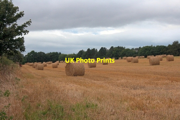 Photo 6"x4" Field off Caldron Mill Road Fadmoor c2012