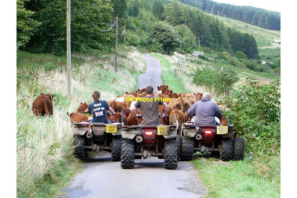 Photo 6"x4" College Valley road-block Whitehall\/NT8826 c2012