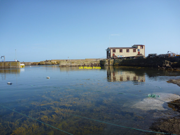 Photo 6"x4" Coastal Berwickshire : The Inner Harbour at St. Abbs Northfield\/NT9167 c2012