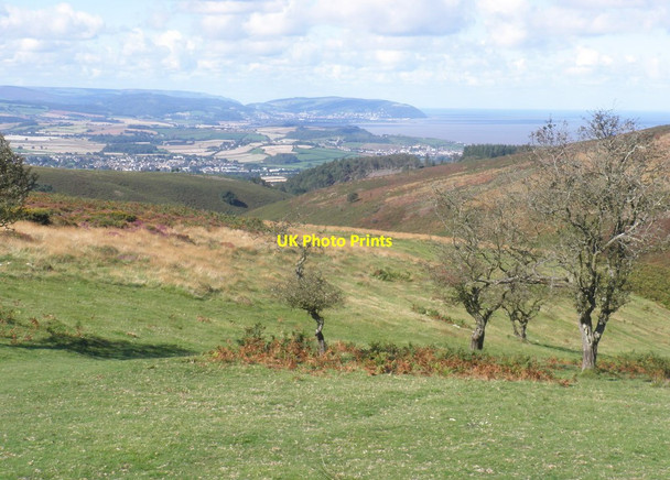 Photo 6"x4" Weacombe Combe Weacombe c2012