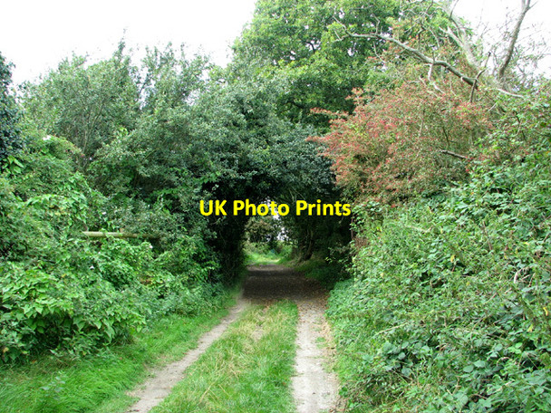 Photo 6"x4" Farm track to the River Waveney Belton\/TG4802 c2012