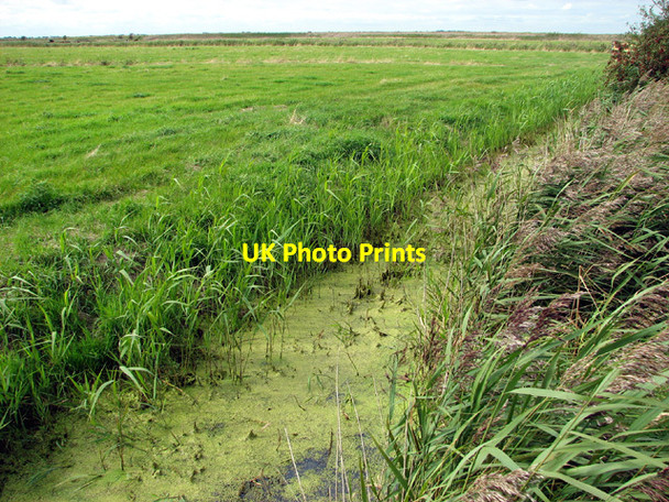 Photo 6"x4" Marsh pastures south of the River Waveney Belton\/TG4802 c2012