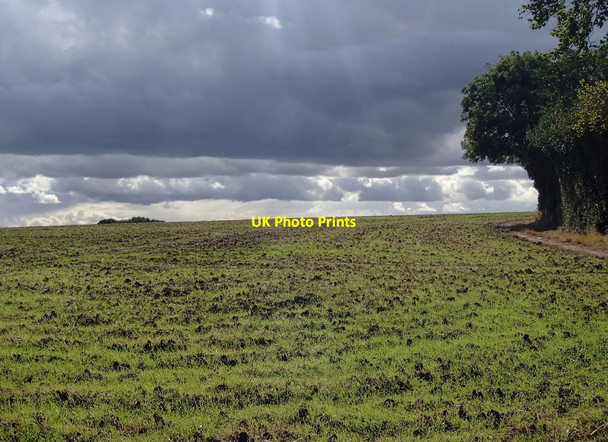 Photo 6"x4" Field, Slade Hills Slade Hooton c2012