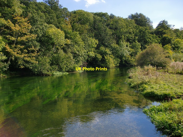 Photo 6"x4" The Hampshire Avon at Hale: view downstream Woodgreen\/SU1717 c2012