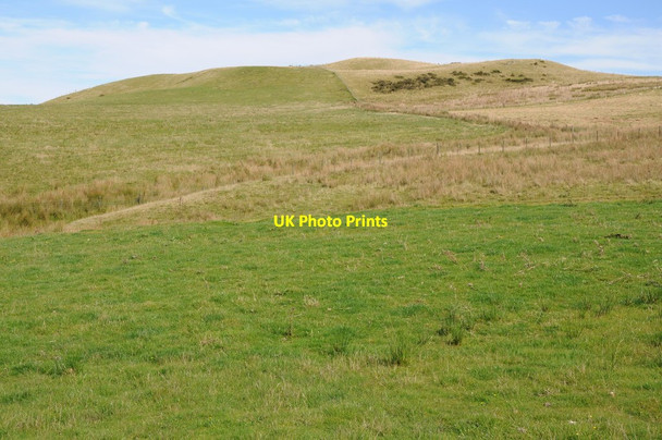 Photo 6"x4" Upland grazing, Gilwern Hill Camnant\/SO0956 c2012