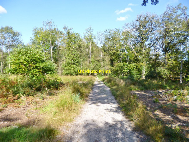 Photo 6"x4" Briantspuddle, long-distance path Briantspuddle c2012